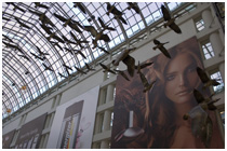 Canada Gallery